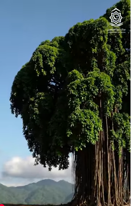 بناء العادات الصحية في الإسلام