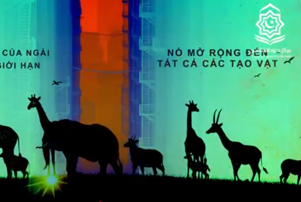 رحمةُ اللهِ لا حدود لها