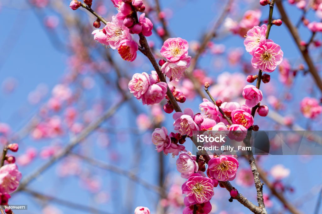 التسامح مفتاح السلام - الجزء الاول